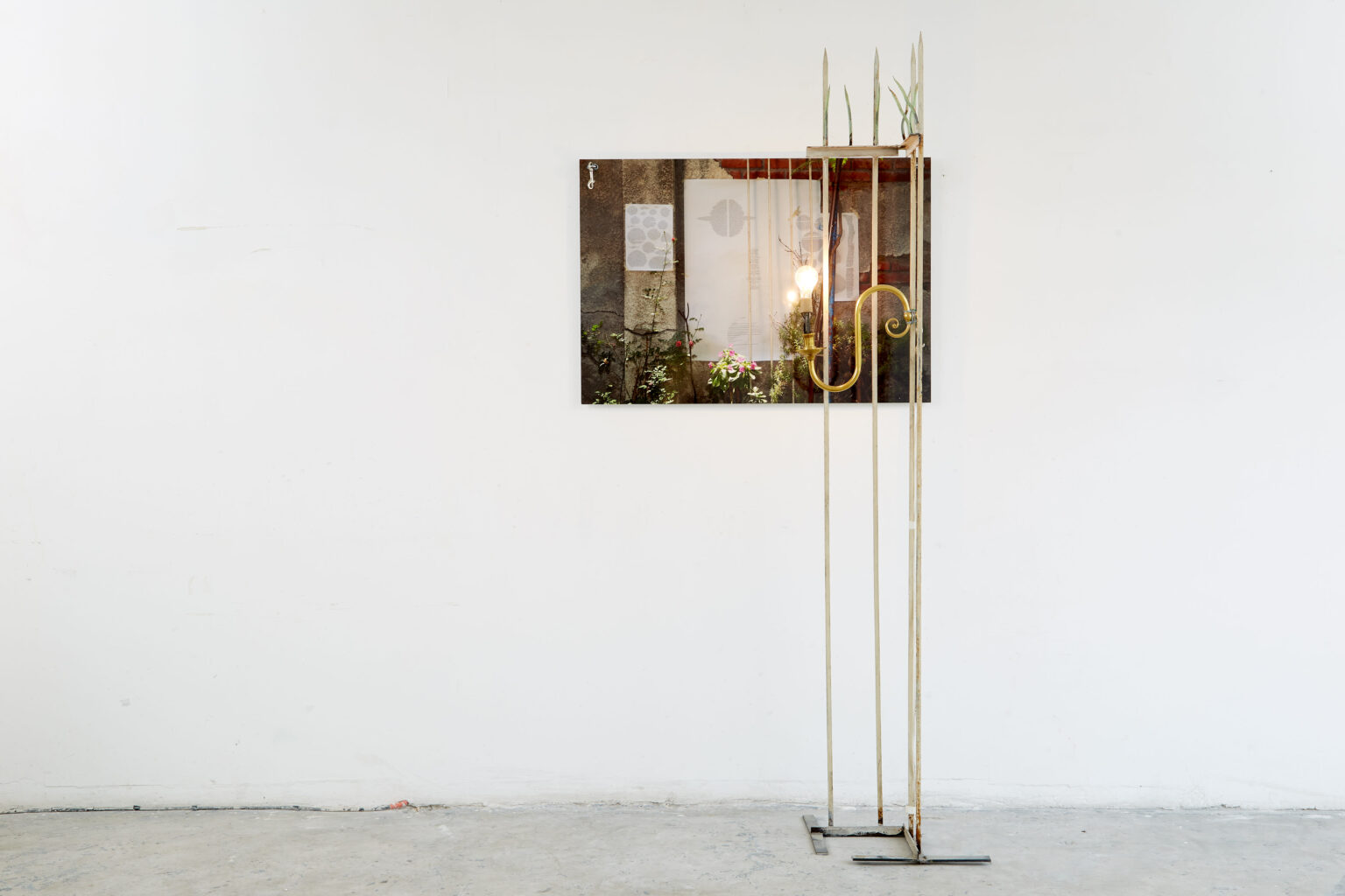 Redemption and participation of fences and flowers, 2013